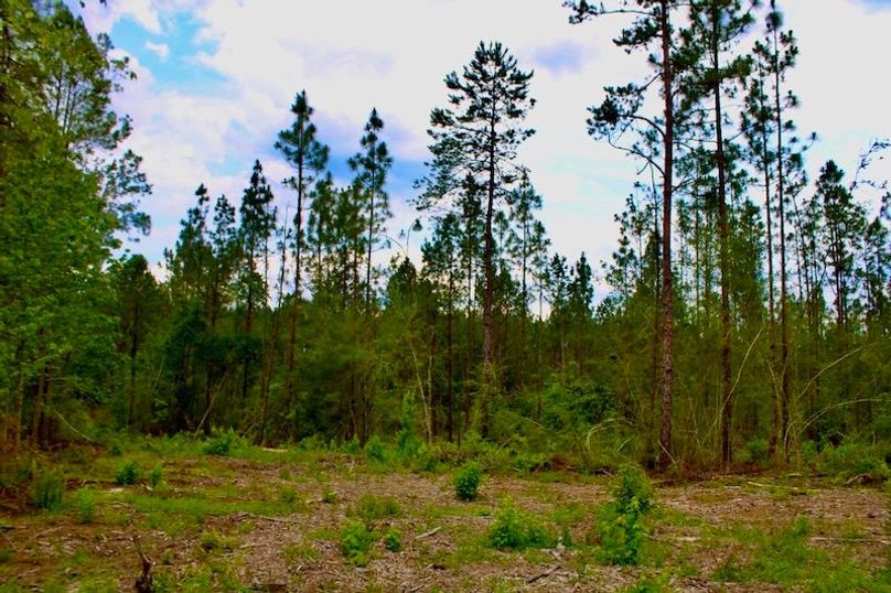 E093988F-C802-4585-AF73-97F2E3D5608F_1_105_c