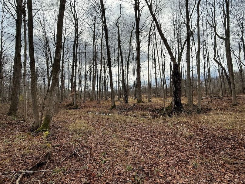 Tompkins_15.15_Galarza Photo 18