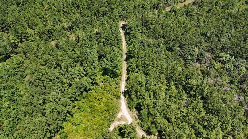 DJI_20240812130711_0010_D