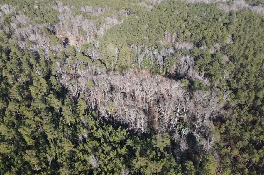 DJI_0291