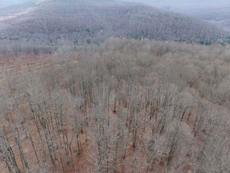 DJI_20251122115152_0063_D