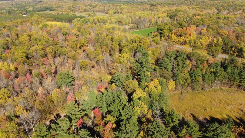 dji_fly_20231015_145310_158_1697399774301_photo_optimized