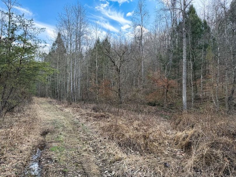 020 main trail leading up towards the gas flat-2