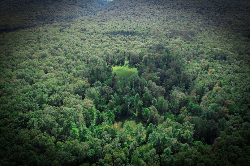 dji_fly_20230912_125444_296_1694538393395_photo