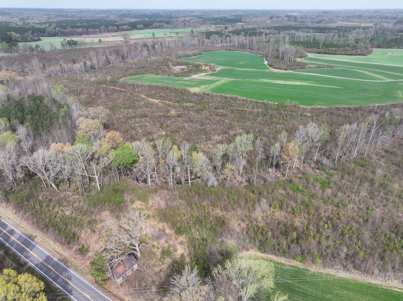 Copy of DJI_20260303062810_0522_D