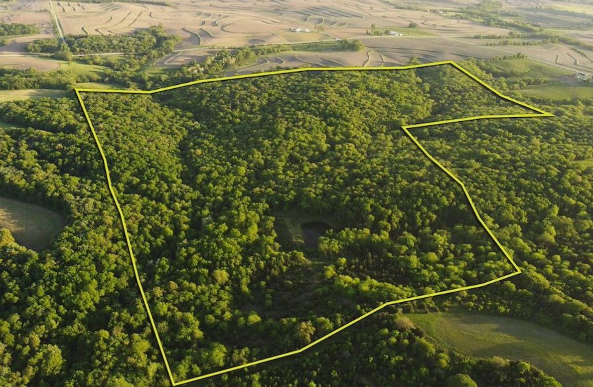 PAGE CO IA 130+_-_2 OUTLINE