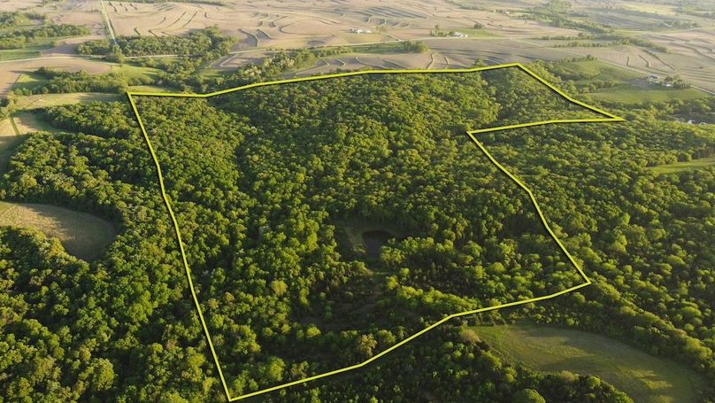 PAGE CO IA 130+_-_2 OUTLINE