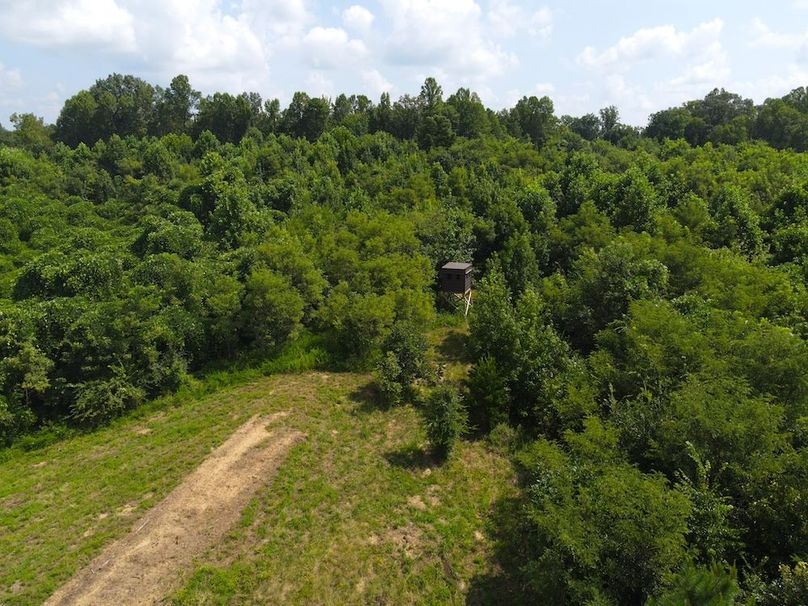 dji_fly_20250729_111602_815_1753802185164_photo