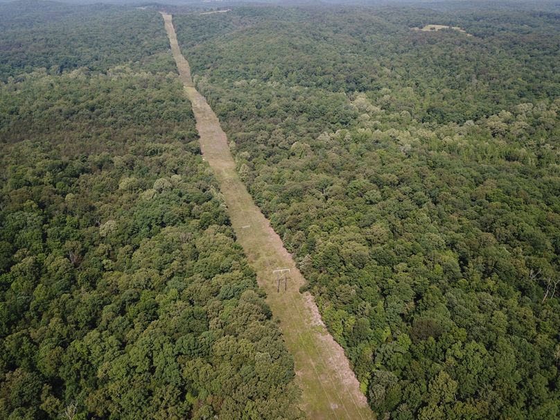 DJI_0010