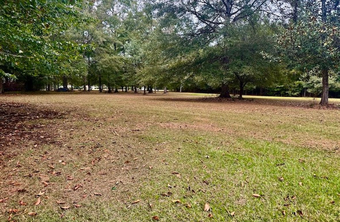 8E4F96D4-A03D-45C6-B4CE-2FC30C0C0B5A_1_201_a