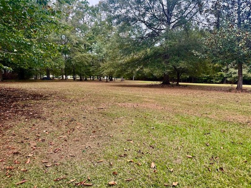 8E4F96D4-A03D-45C6-B4CE-2FC30C0C0B5A_1_201_a