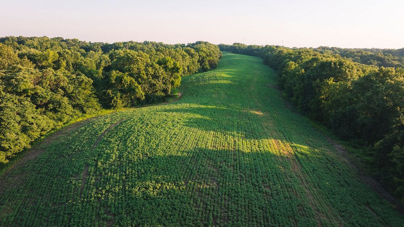 DJI_0049-HDR-2