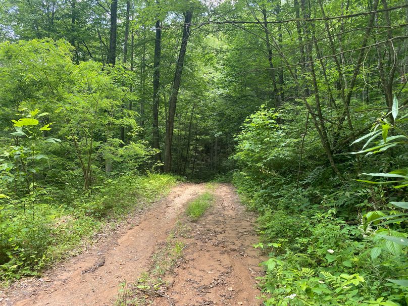 Swain 39 Tysinger-11