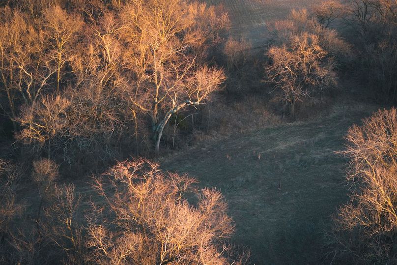 DJI_20260121164353_0478_D