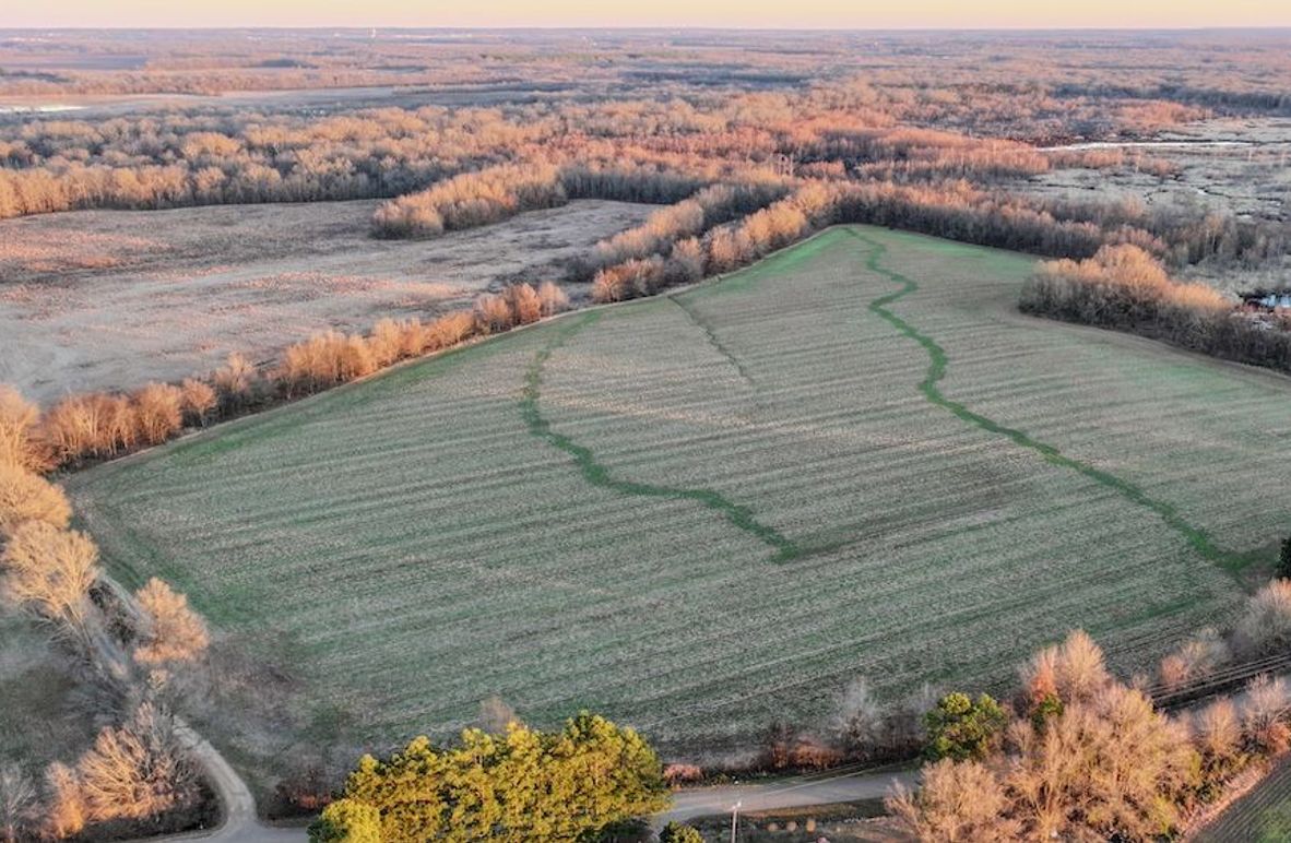 St. Francis 138.5 Calvin Parker Farms Profile -02