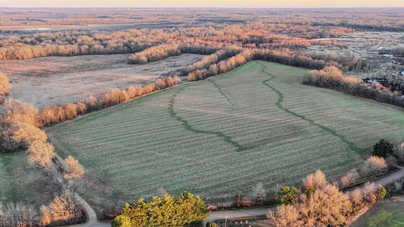 St. Francis 138.5 Calvin Parker Farms Profile -02