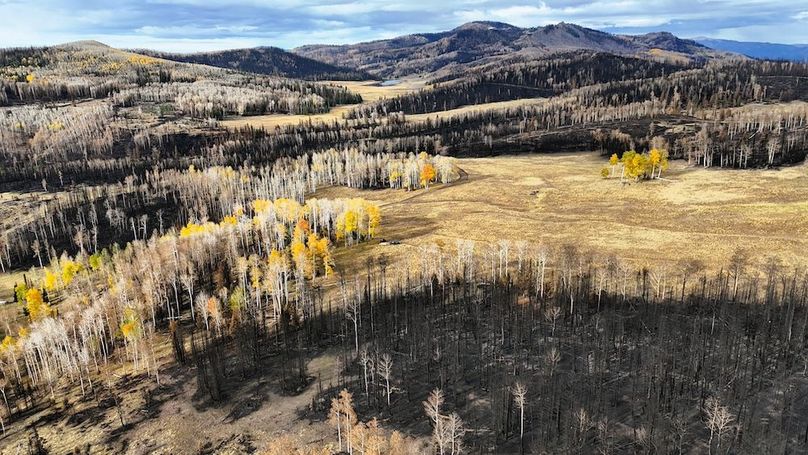 DJI_20250927092345_0188_D