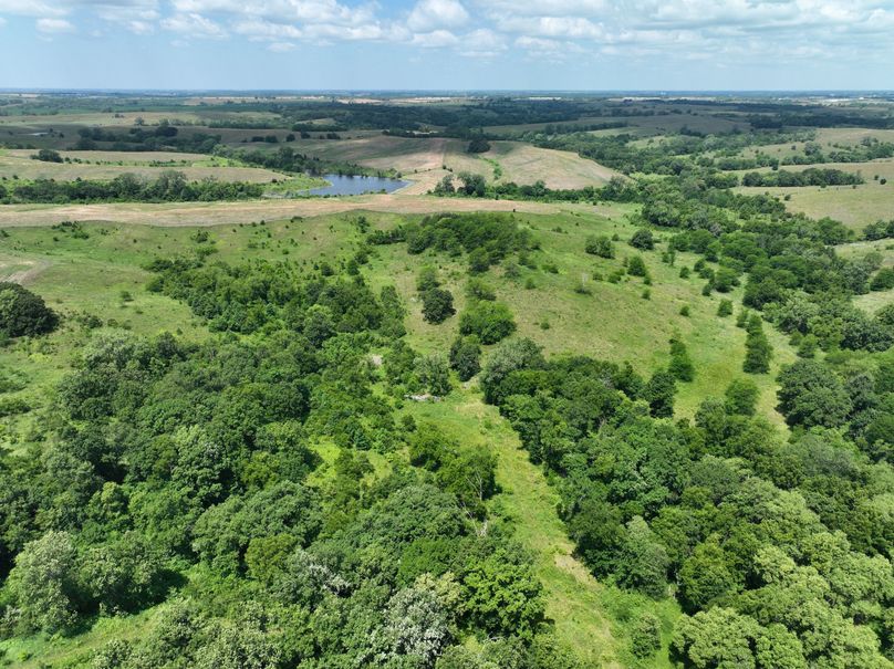 dji_fly_20230625_120638_475_1687717479491_photo