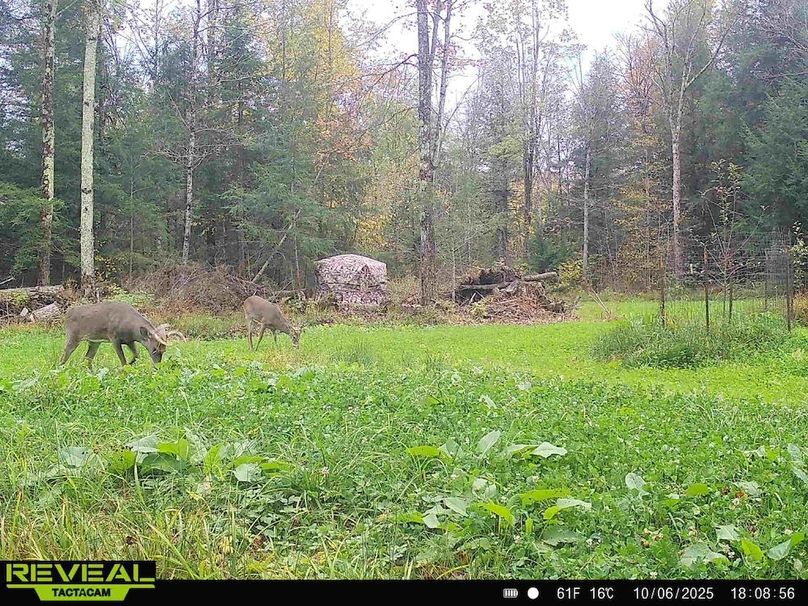 865814048724973-70-3-10062025180856-HD-W1015349