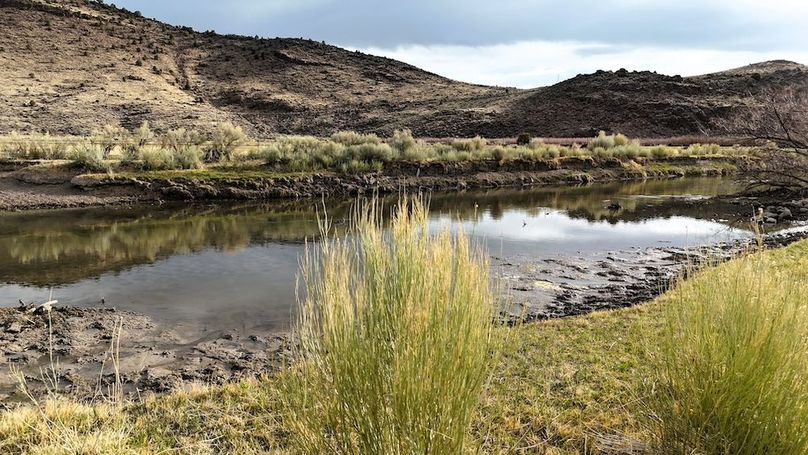 Lucky River Bottom Ranch14