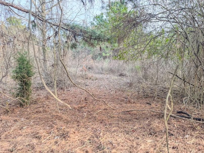 Monroe 80 Driver Dixon (Final Frontier) -18