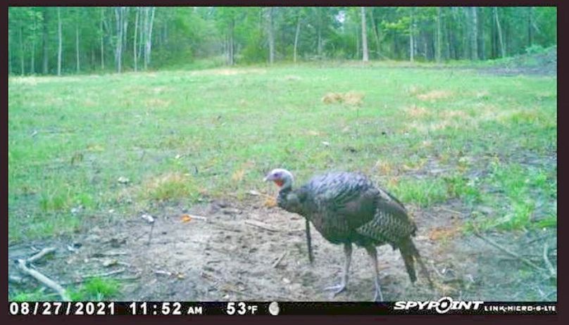 Screenshot 2021-12-15 at 10.13.48 AM