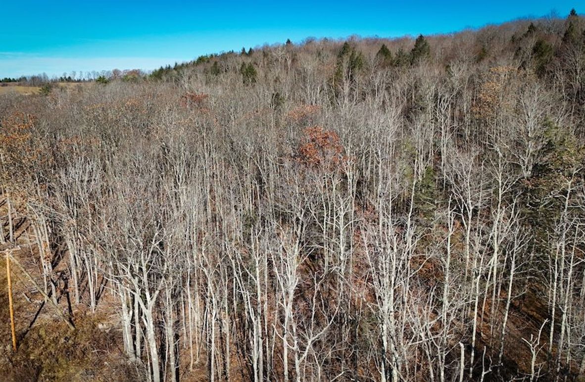 Chemung_31.75_Seymour_North_Photos_3