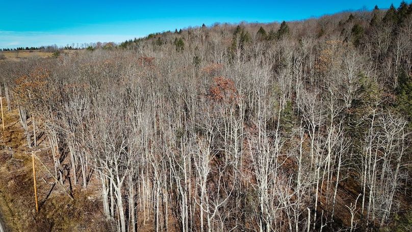 Chemung_31.75_Seymour_North_Photos_3