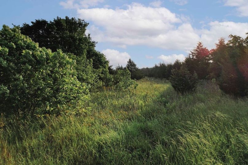 Lamar County- 92.66 Acres (28 of 29)