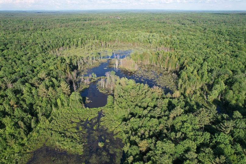 Jefferson_260.3_ Lobach_Photos_62