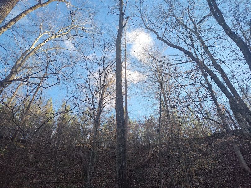 IMG_20240302_165017939