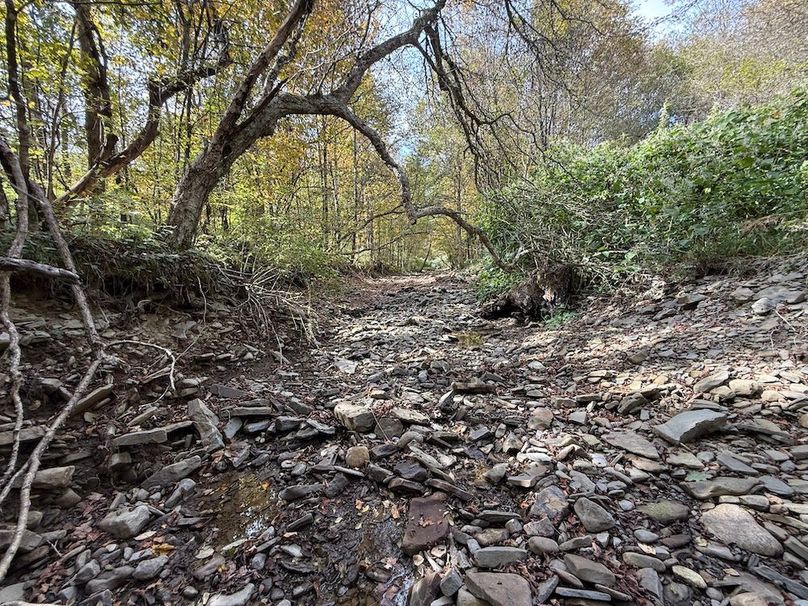 Tioga_30_Flanner Photo 36