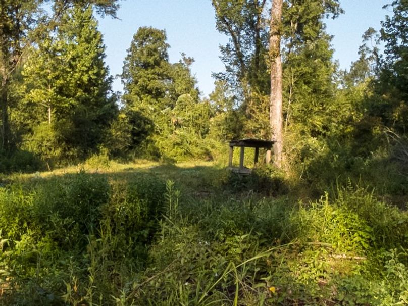 Ashley Co-40-Givens-50