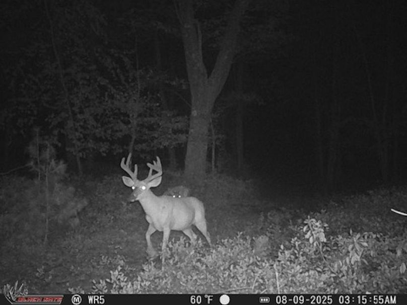 3D8D808A-3014-4C5C-833B-CF3CE90864A7_4_5005_c