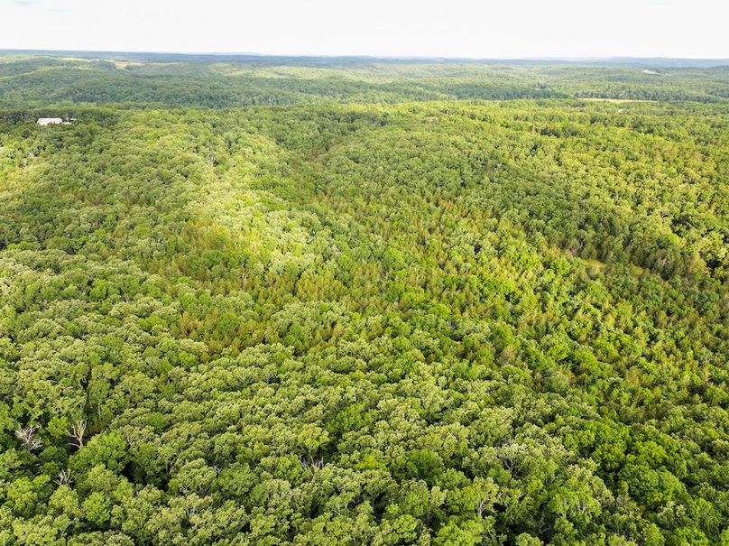 DJI_20260602075352_0237_D