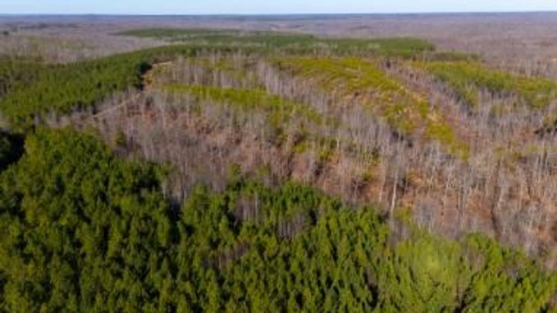 MCKINNON TRACT 19-30