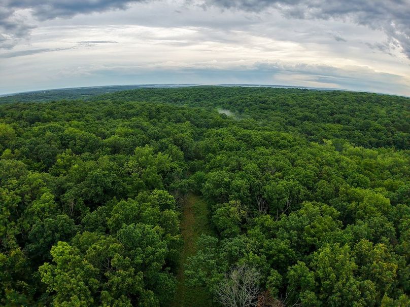 DJI_20250630071413_0308_D