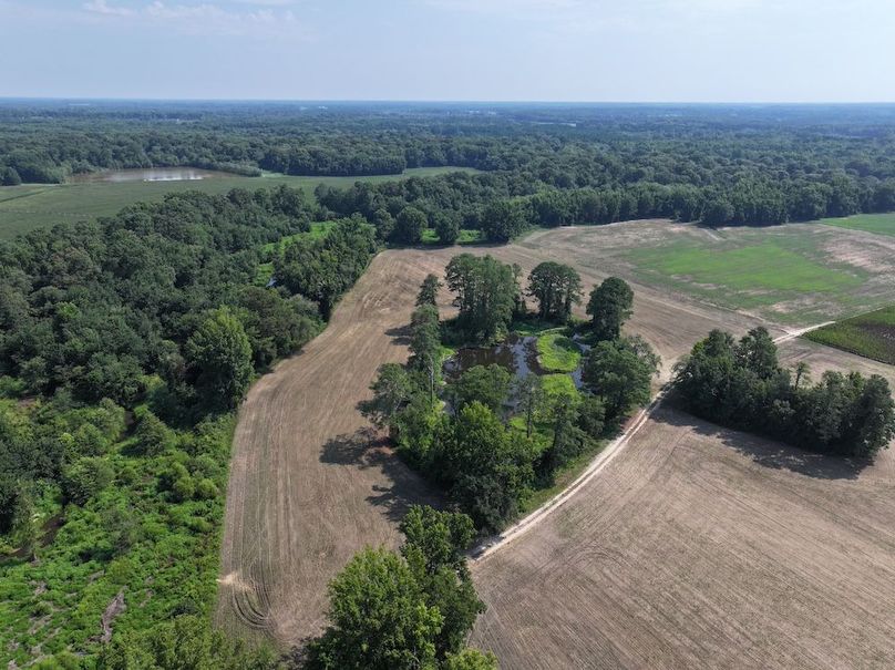 Copy of DJI_20240716105353_0025_D