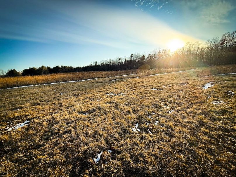 Seneca_24.54_Hohwald_Photos_19