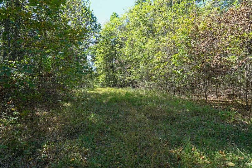 Fayette, 199, Hostetler-43