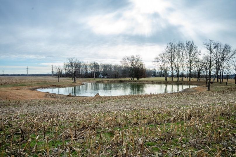 Copy of DSC00736 Large