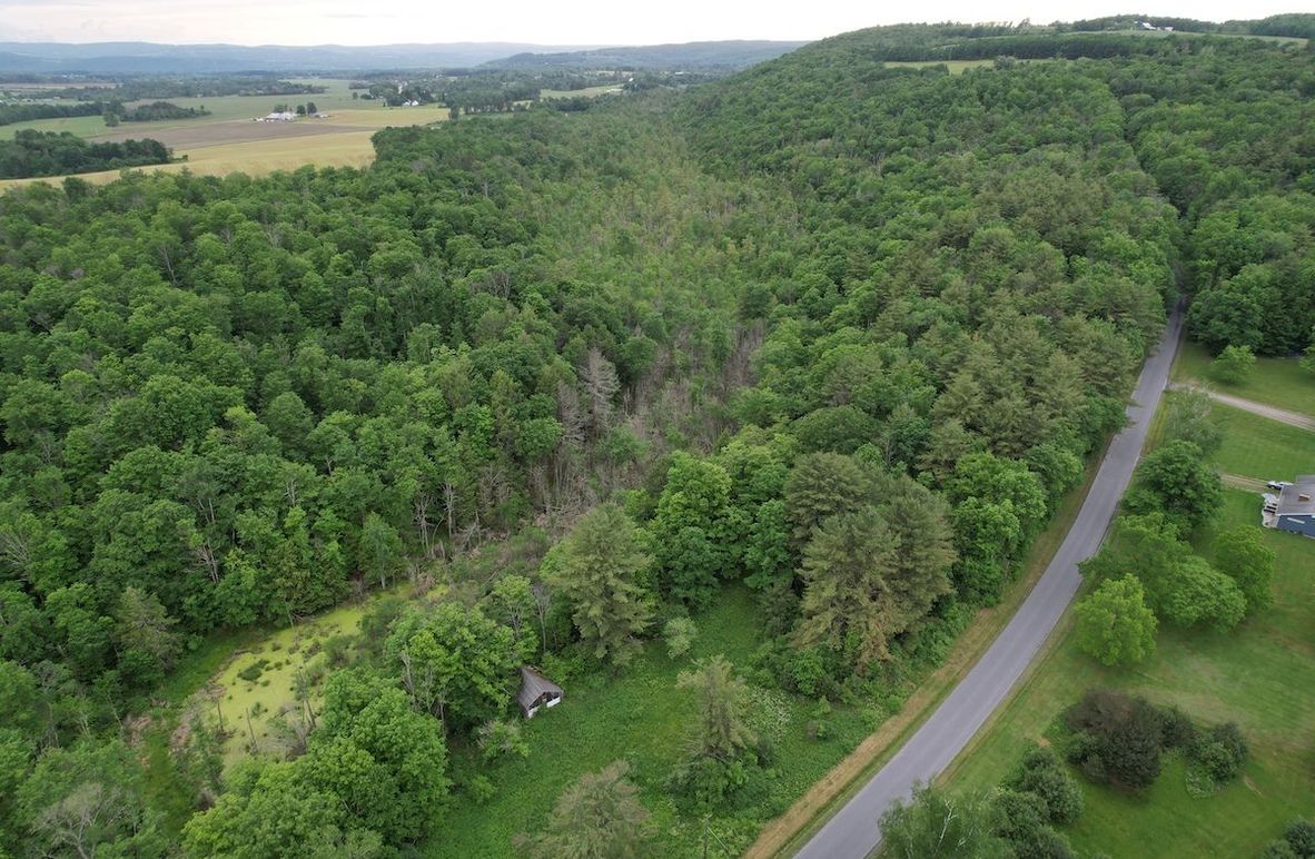 Schuyler_54.61_Morrow_Photos_1