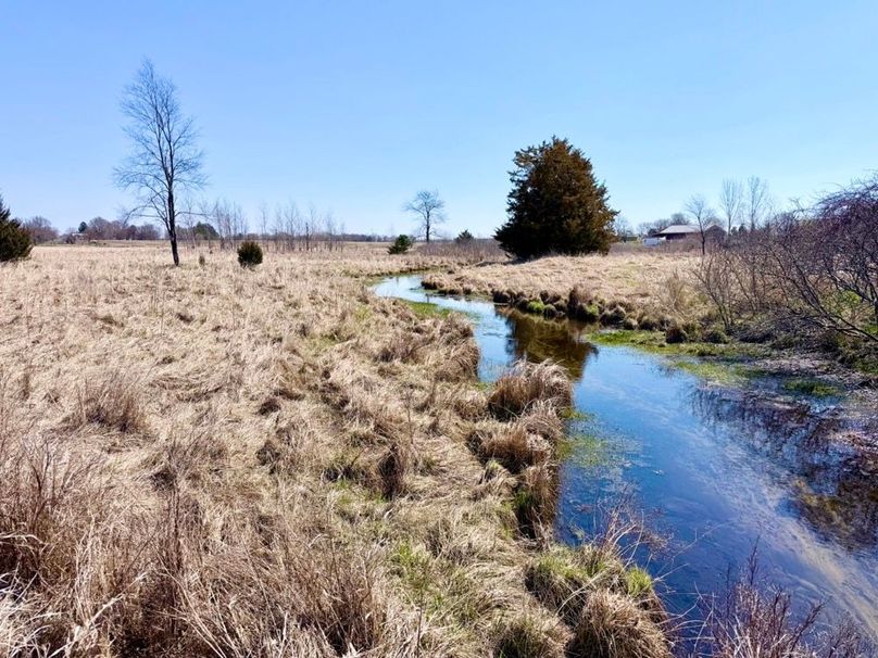 Main Creek Wheeler Rd 2