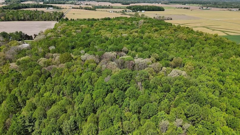 DJI_20260419114536_0491_D