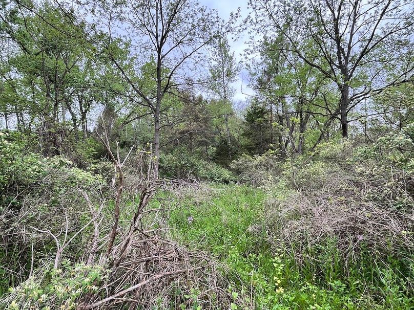 Chemung_3.5_Rouseland Photo 18