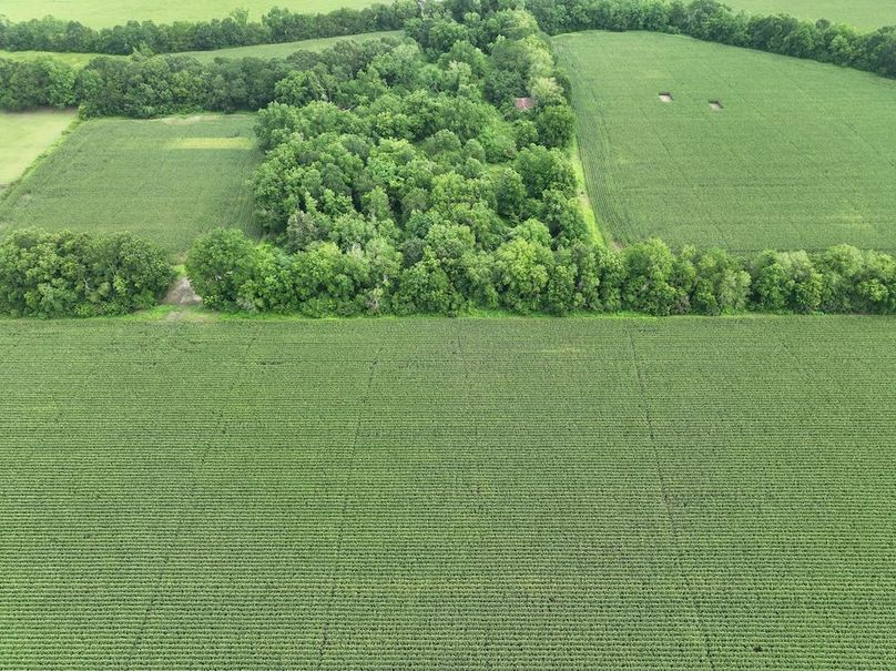 dji_fly_20240620_102724_567_1718898961081_photo