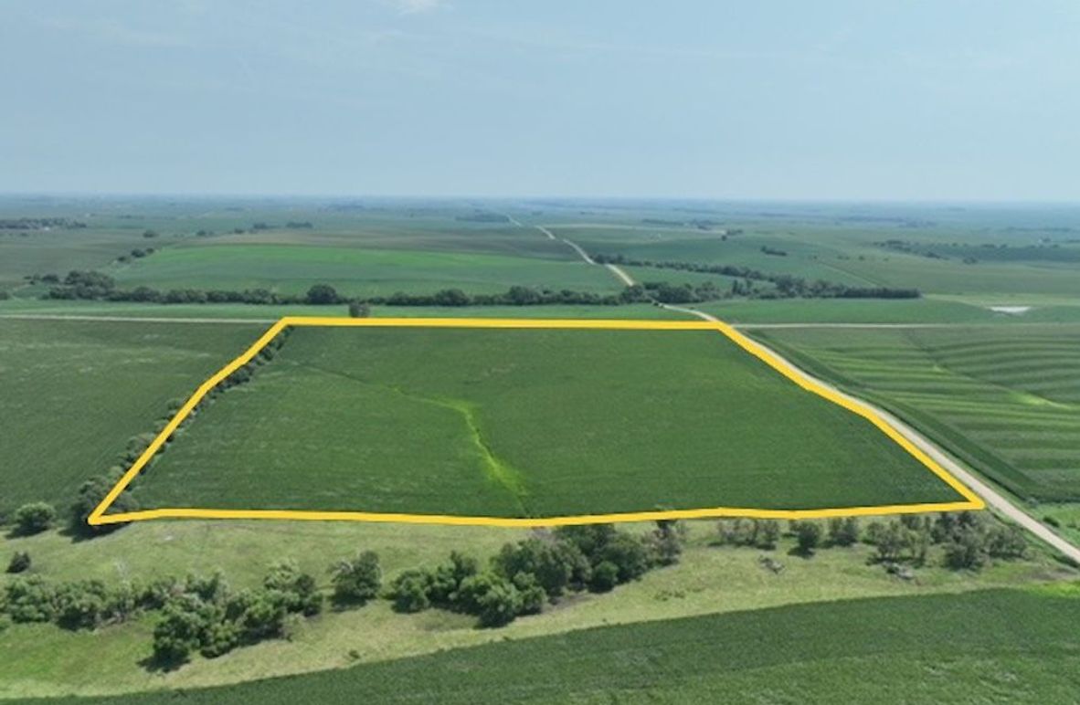 dji_fly_20250805_125010_374_1755697067396_photo