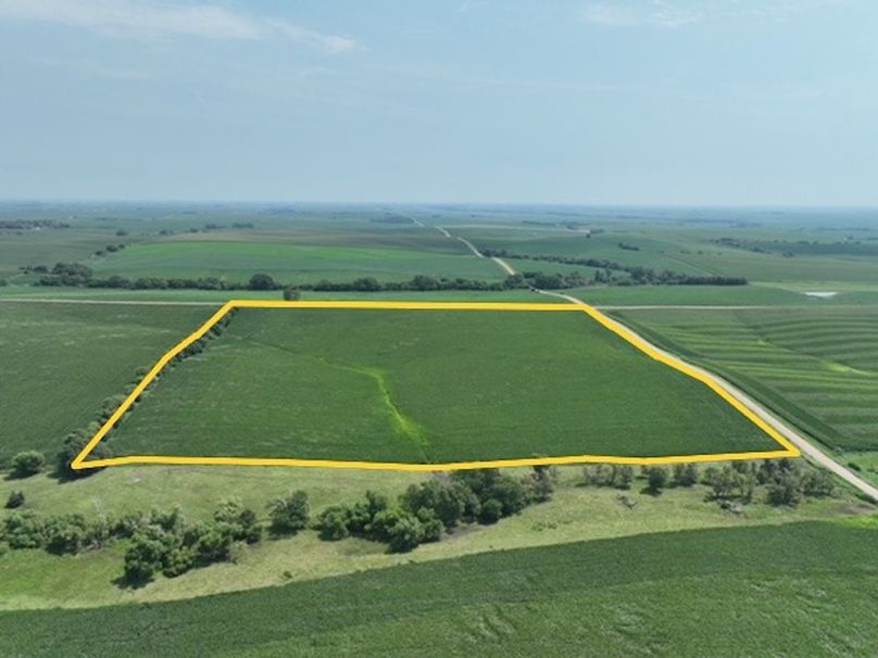 dji_fly_20250805_125010_374_1755697067396_photo