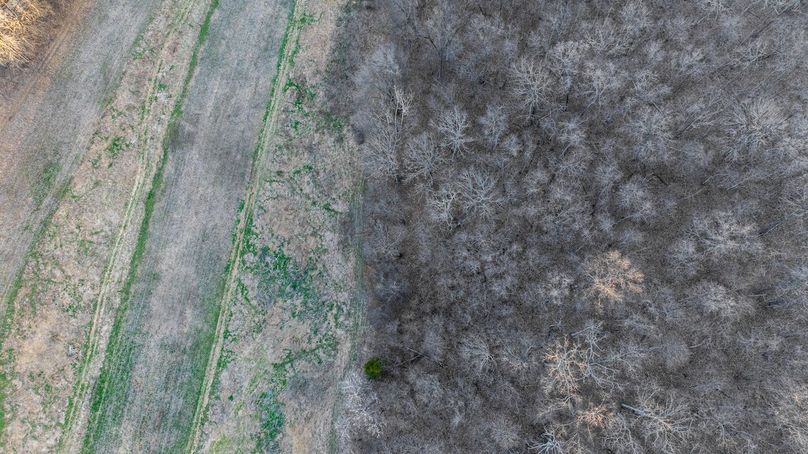 DJI_20260319181546_0057_D