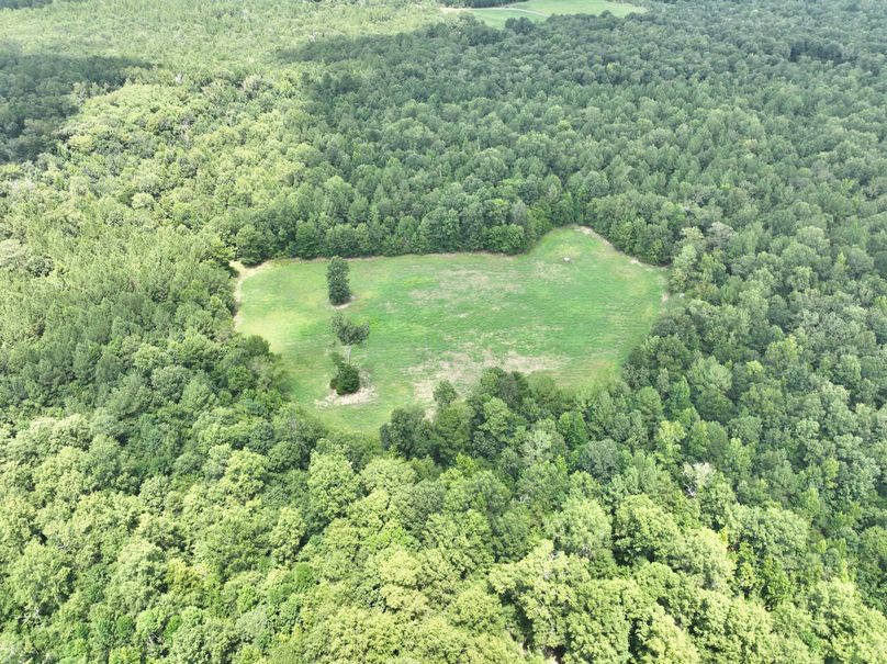 dji_fly_20230731_132930_451_1690845672305_photo